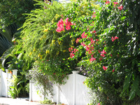 Key West